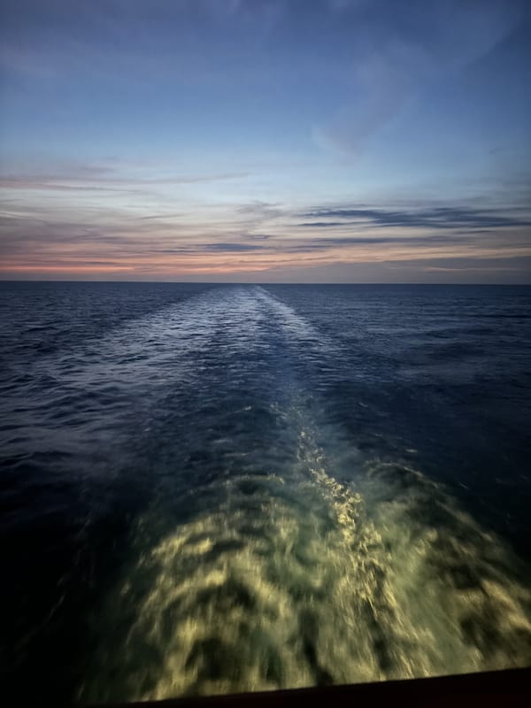 Cruising with ADHD: How My Neurospicy Brain Tried to Ruin My Vacation
